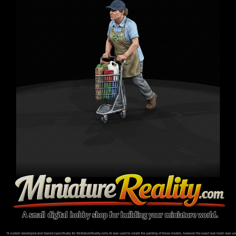 MODERN DELIVERY PEOPLE Grocery service shopper