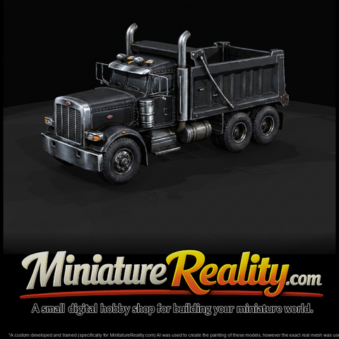 Peterbilt 389 Dumper Truck - 2019