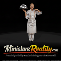Catering Server with Domed Tray miniature, three-quarter view — thumbnail 1