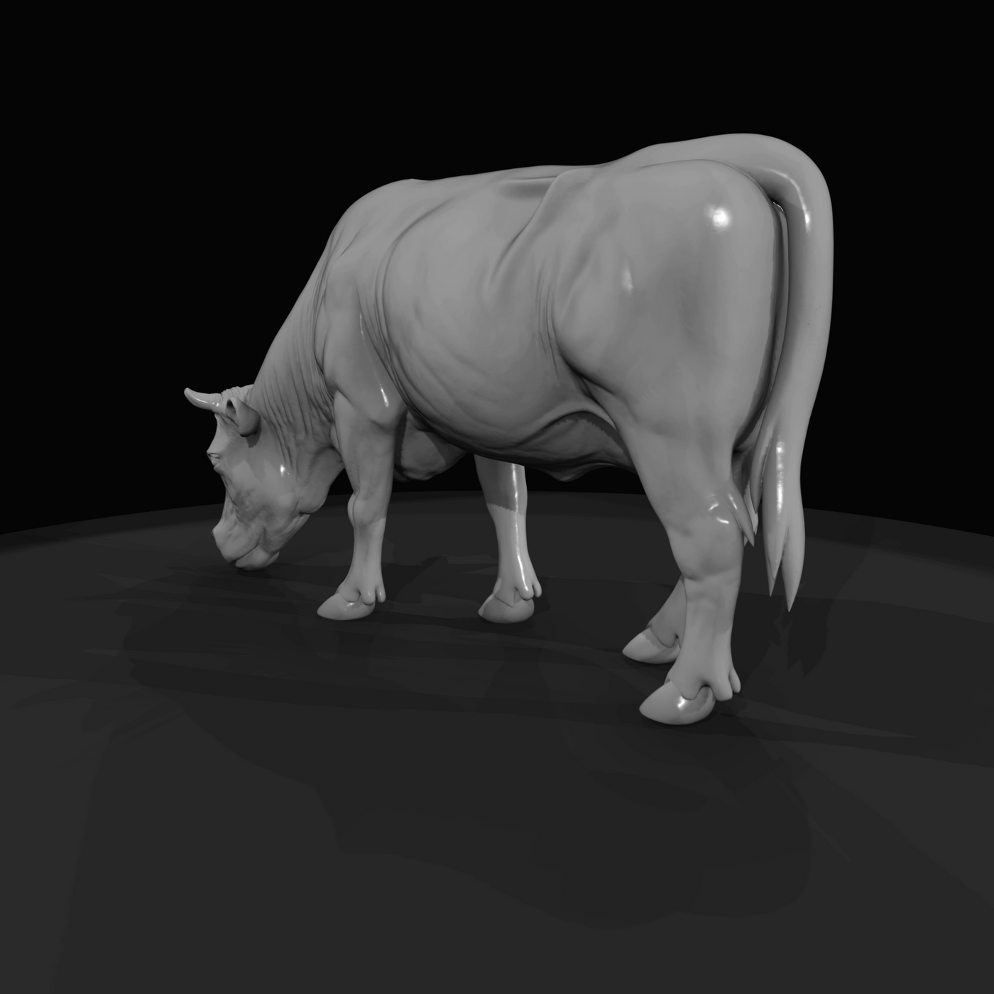 Cow large female cow grazing (1860s)