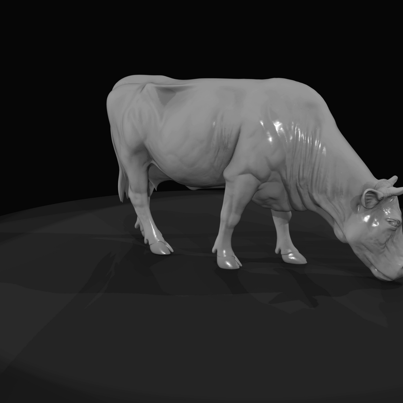 Cow large female cow grazing (1860s)