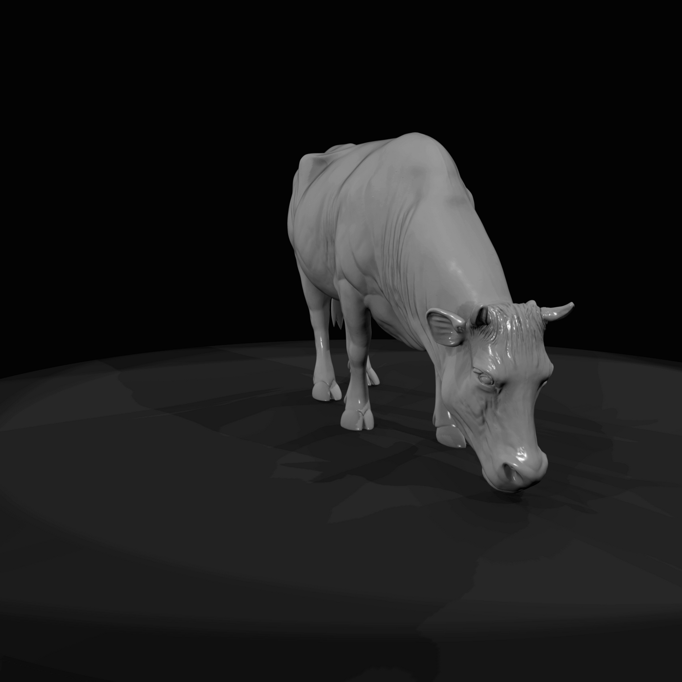 Cow large female cow grazing (1860s)