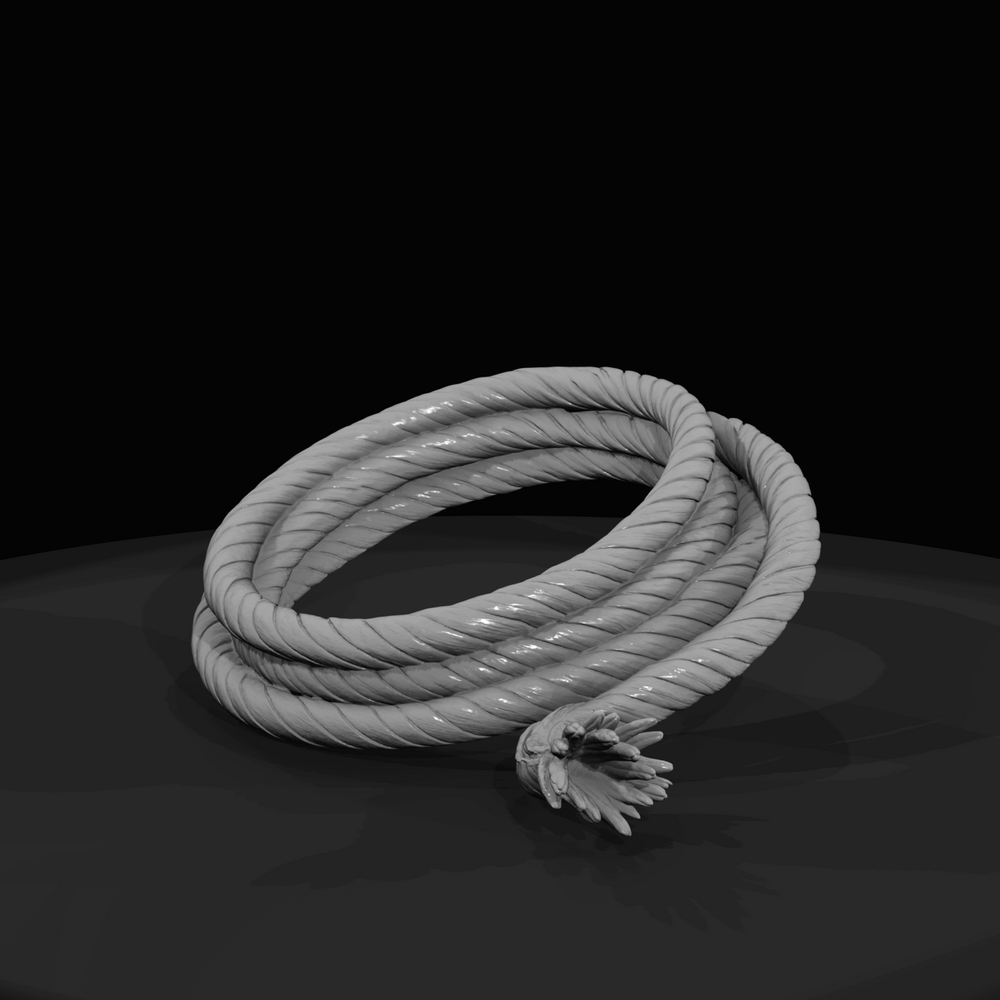 Coil of rope (estimated)