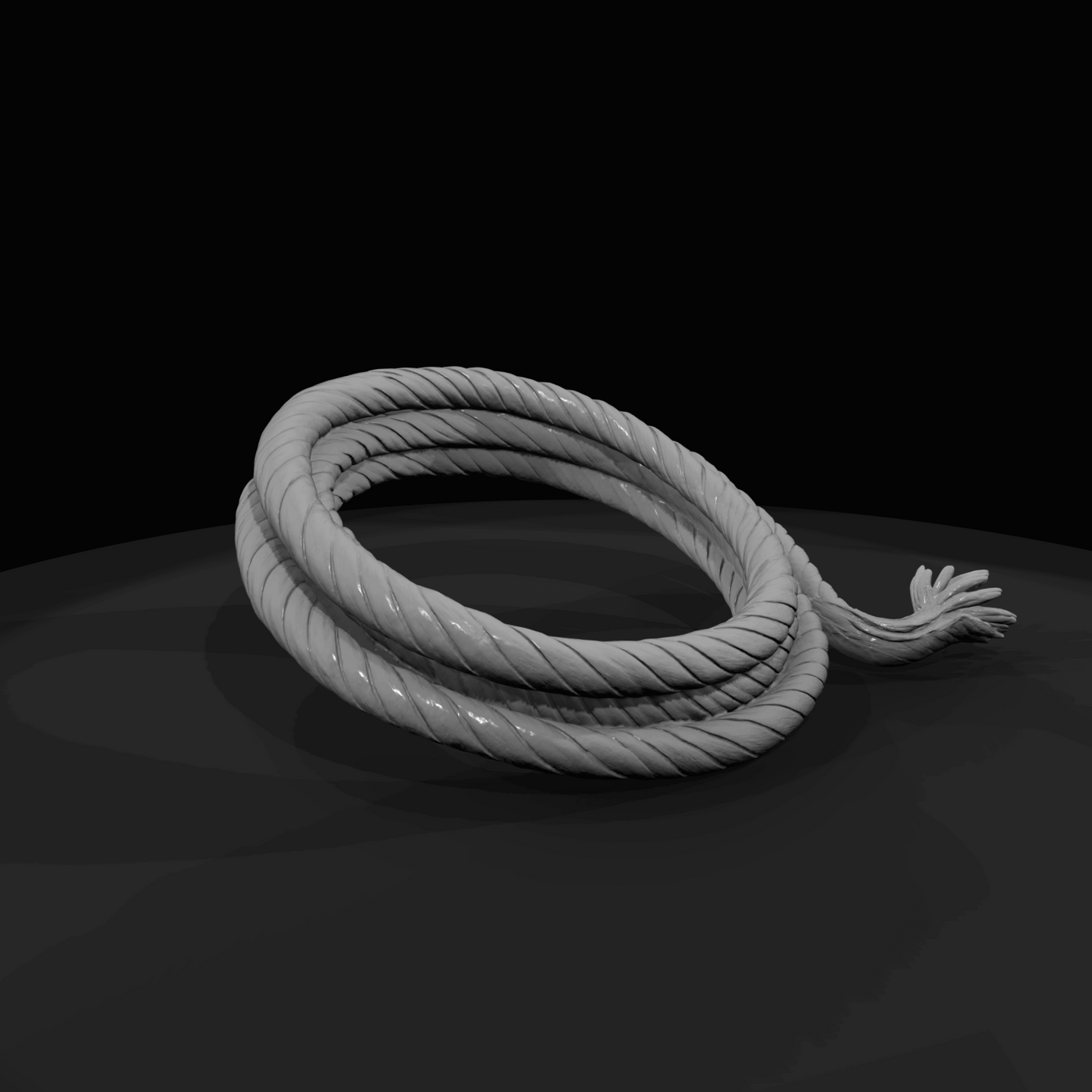 Coil of rope (estimated)