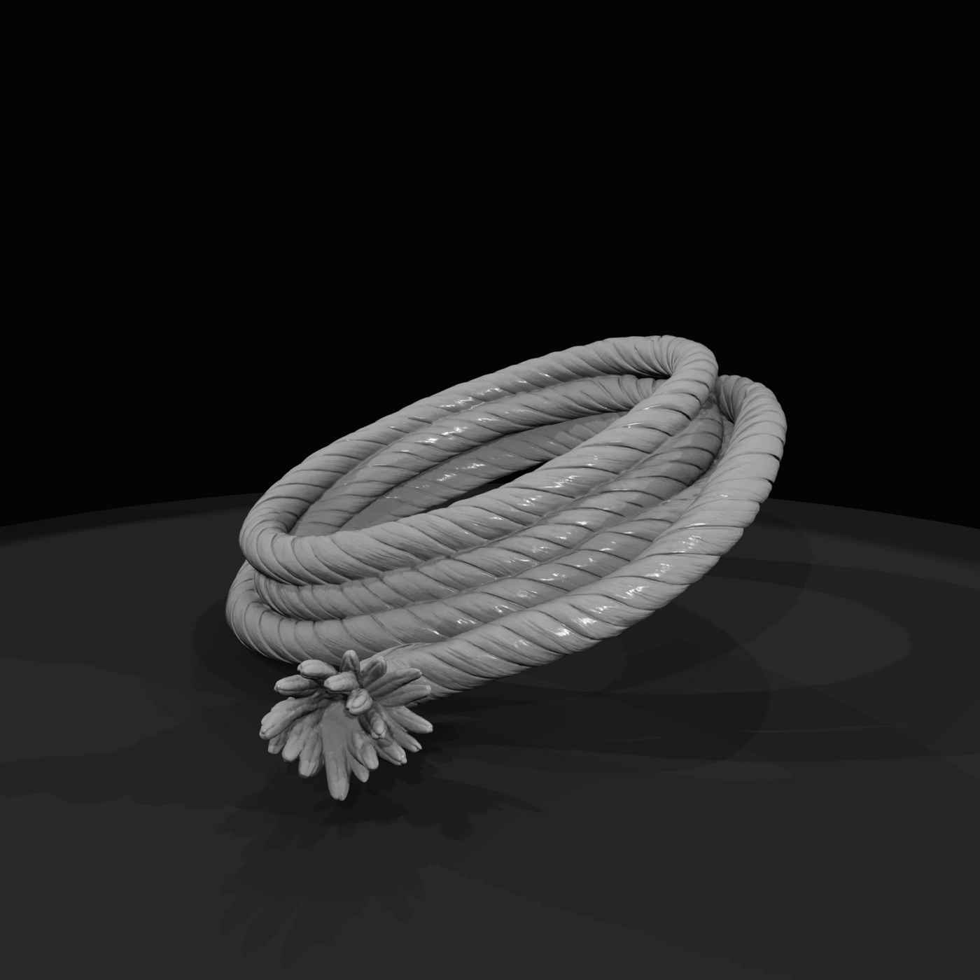 Coil of rope (estimated)