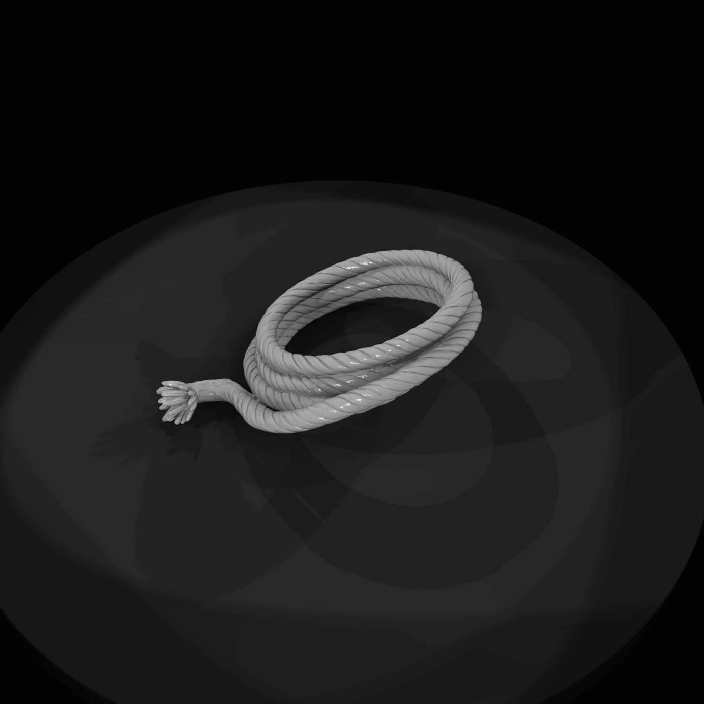 Coil of rope (estimated)