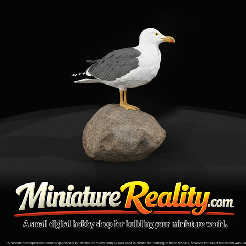 1980s Miami Beach Seagull — Perched Bird