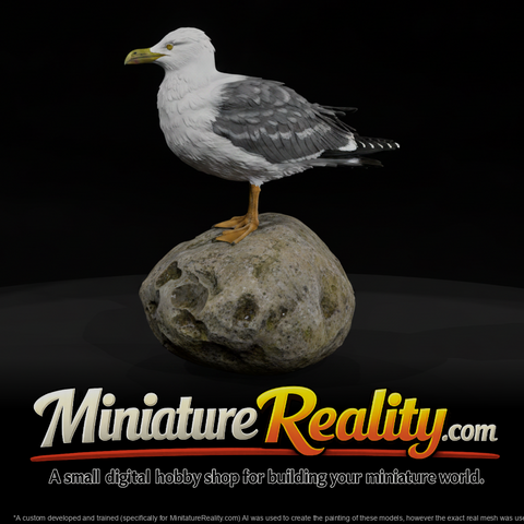 1980s Miami Beach Seagull - Perched Bird