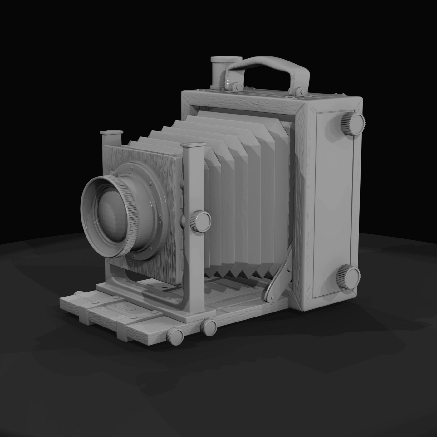 Accordion style Box Camera