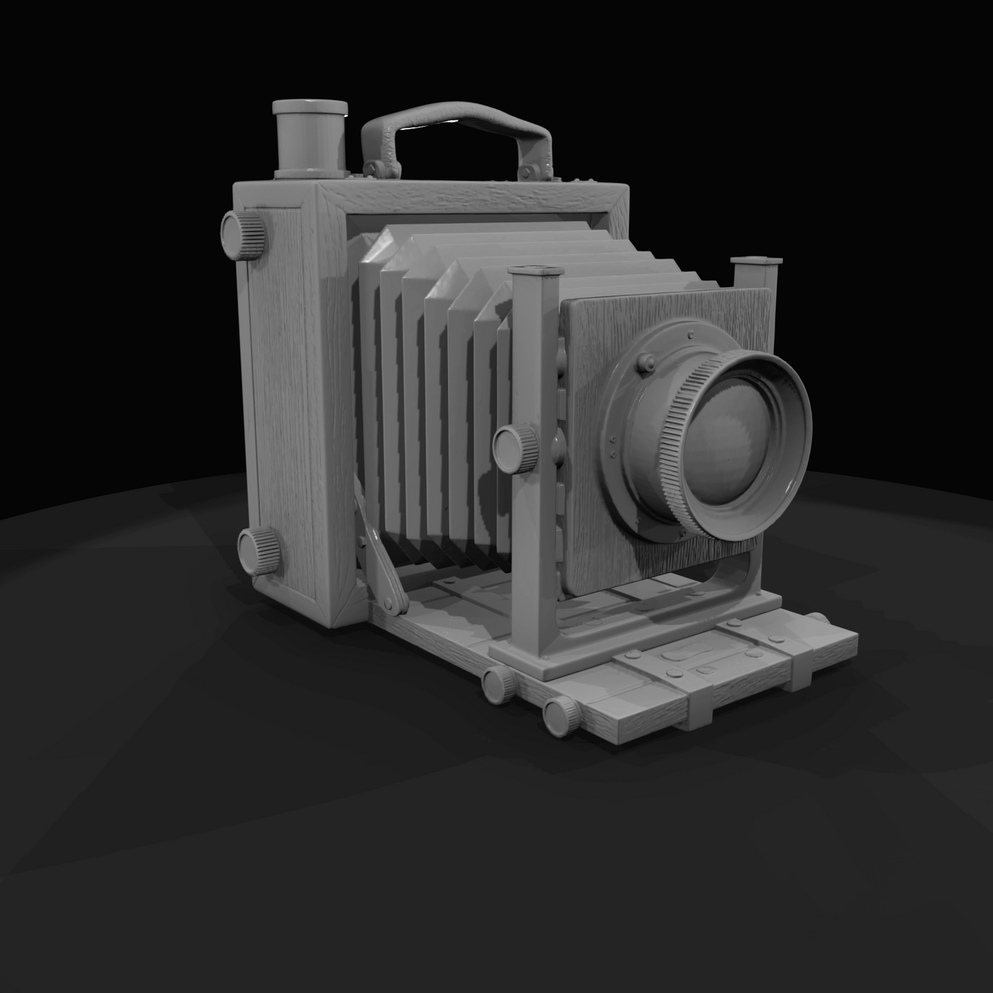 Accordion style Box Camera