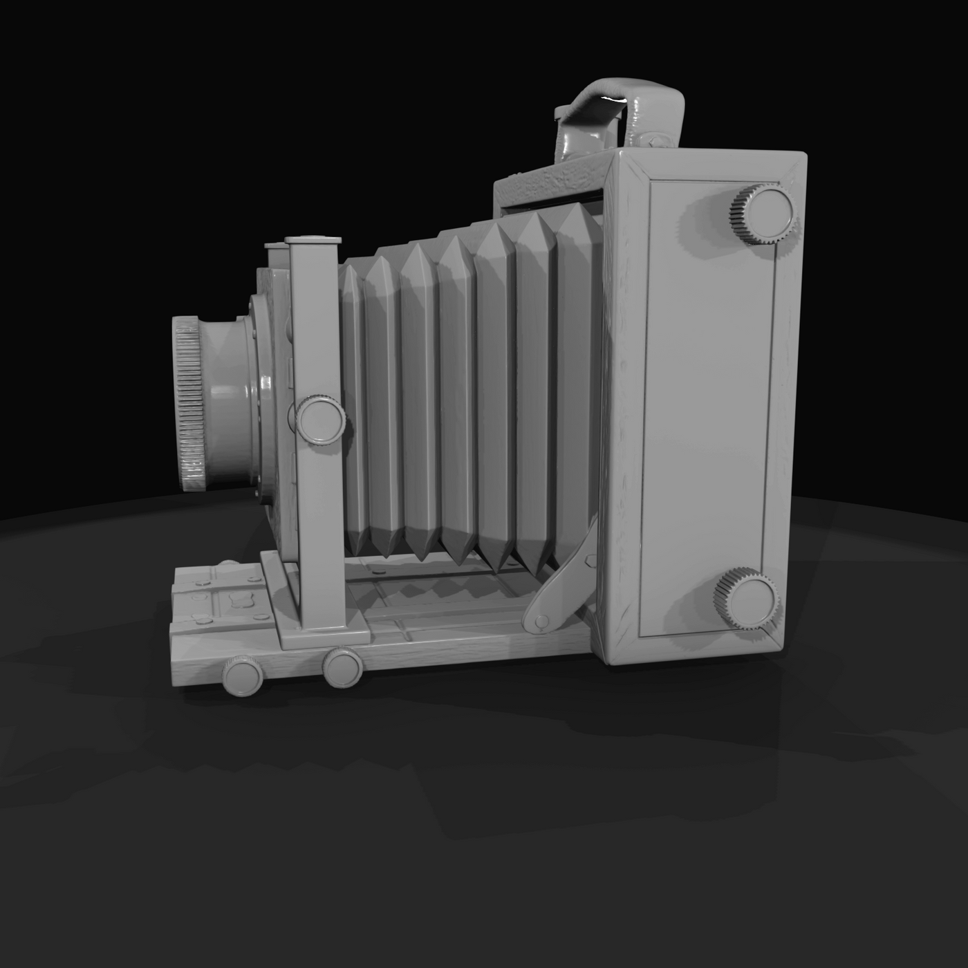 Accordion style Box Camera