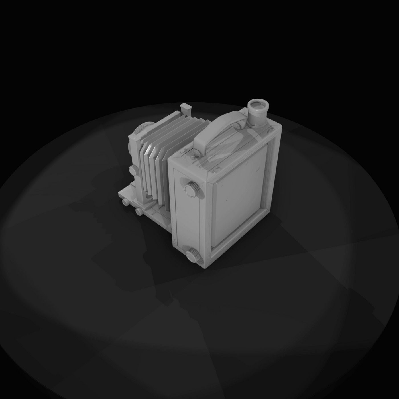 Accordion style Box Camera