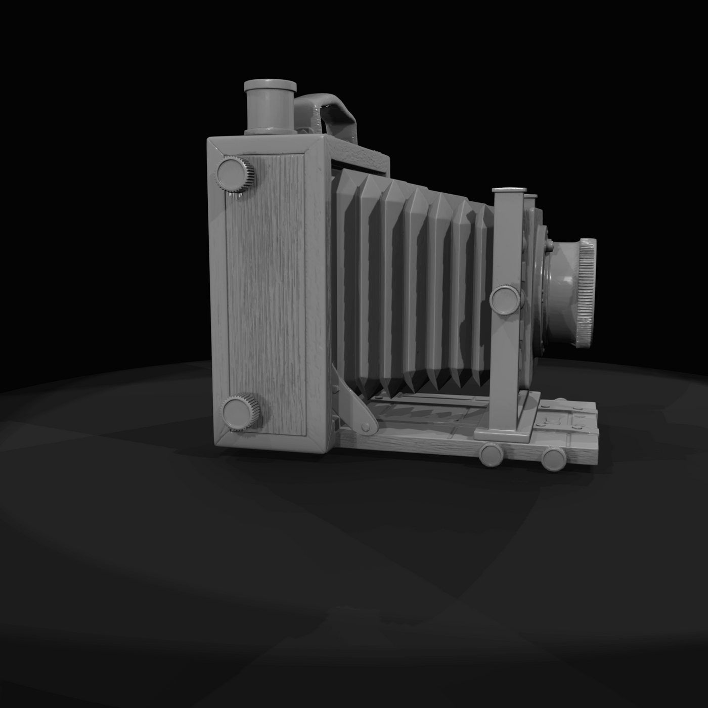 Accordion style Box Camera