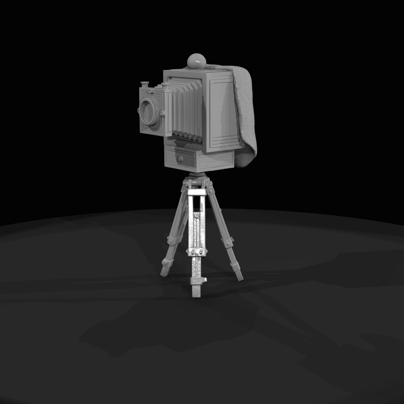 Large Plate Style Camera Vintage