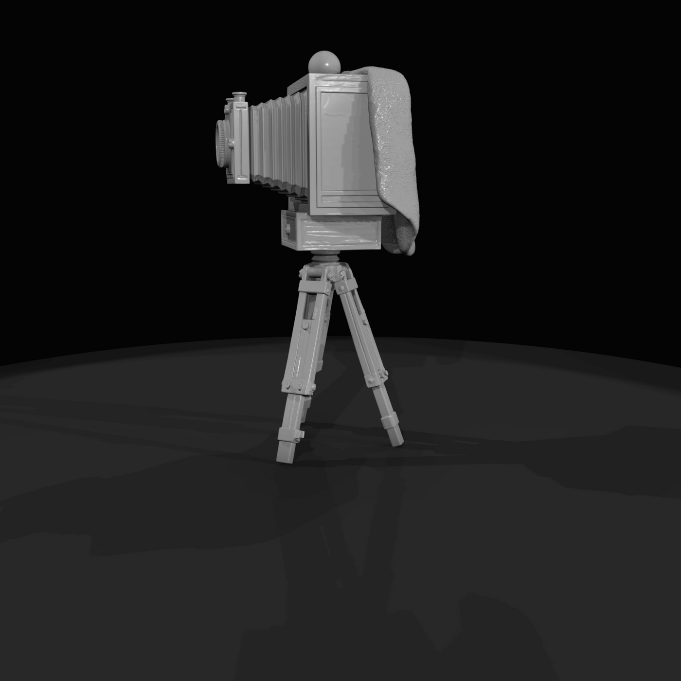 Large Plate Style Camera Vintage