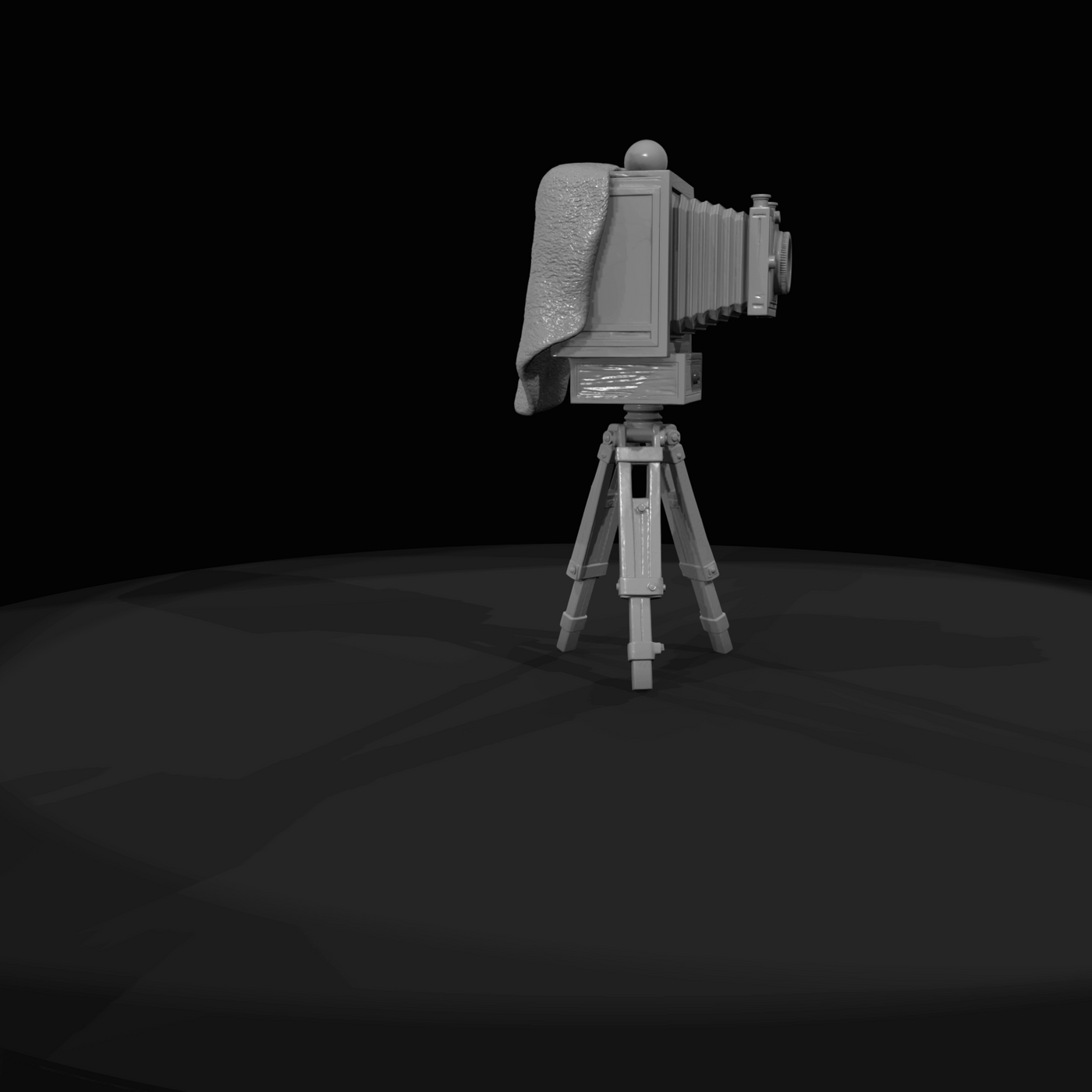 Large Plate Style Camera Vintage