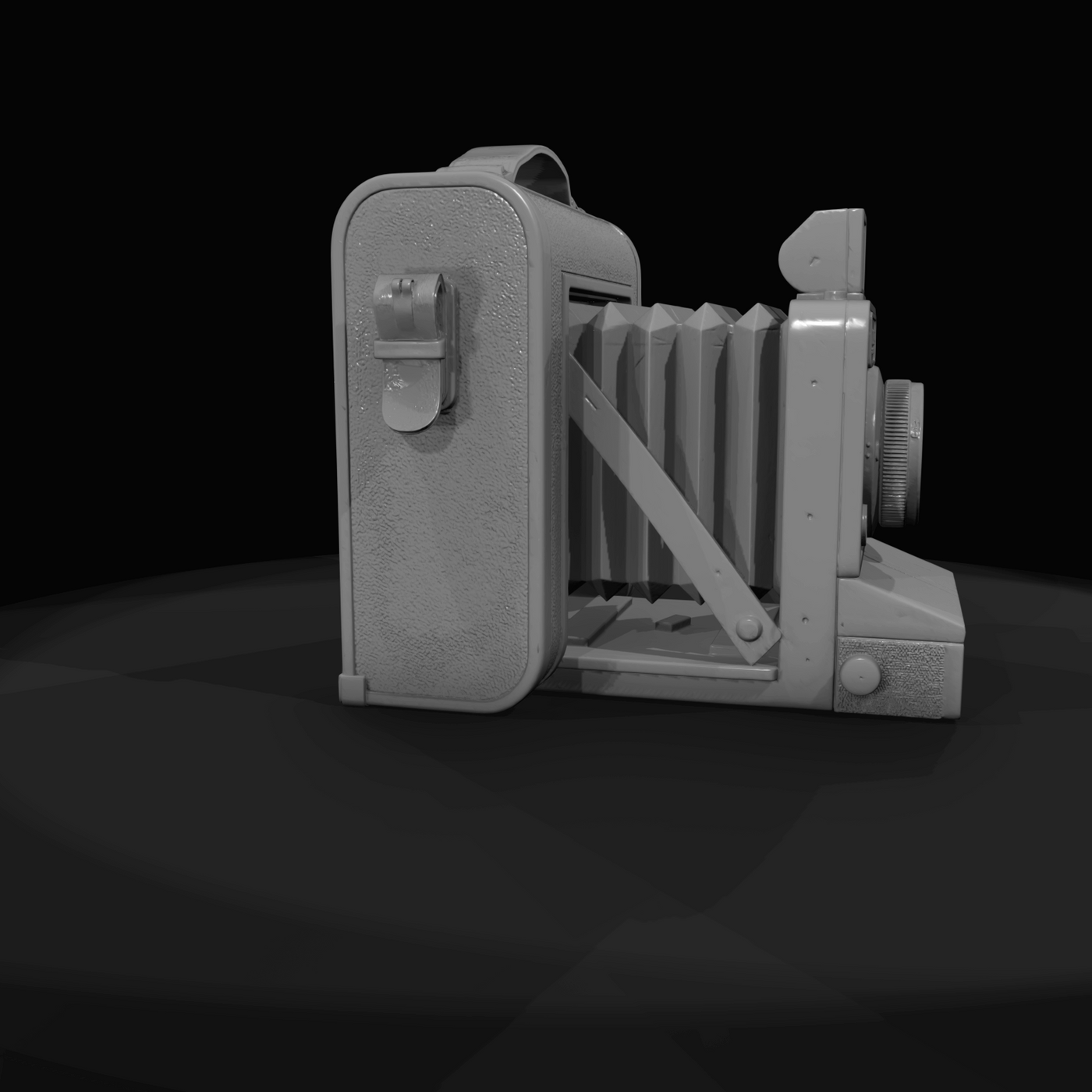 Kodak Instant Camera