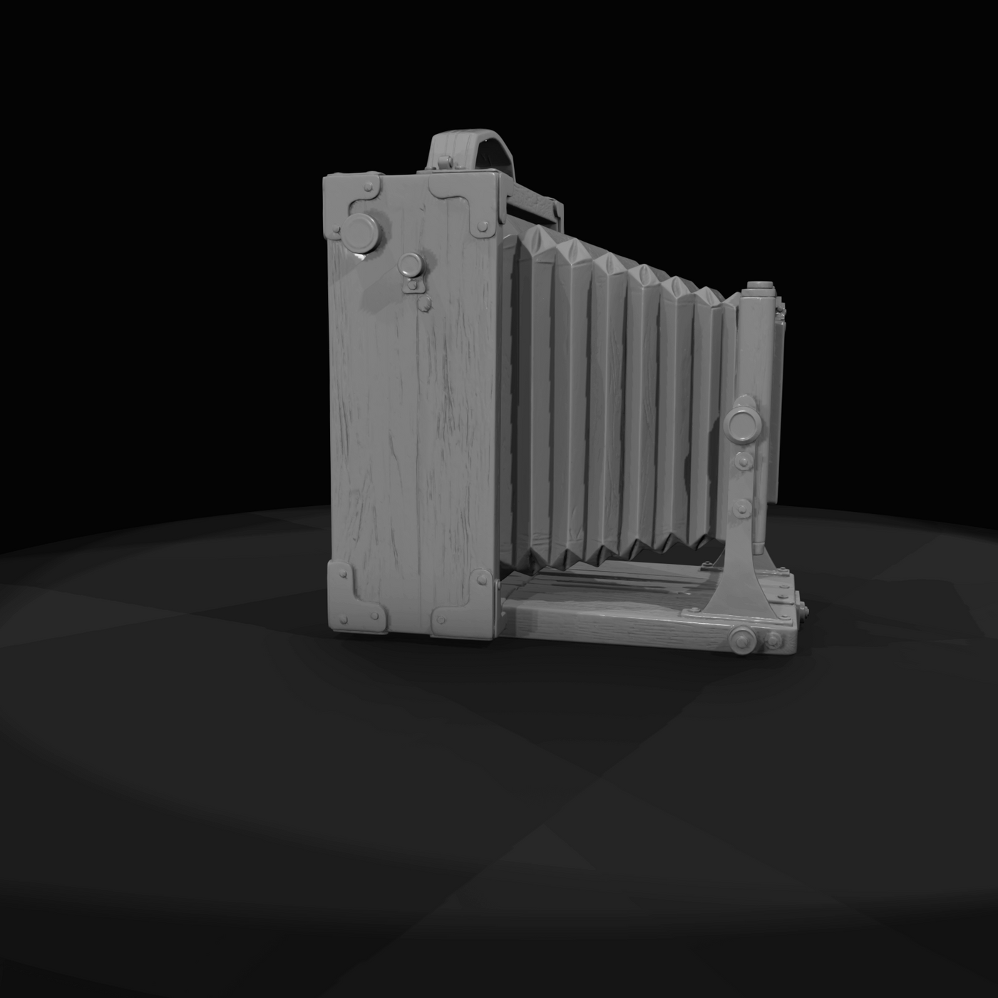 Large Format Bellows Field (1900s)