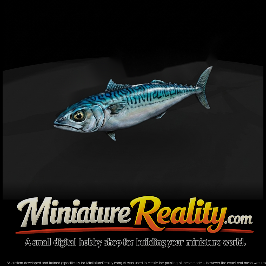 Atlantic Mackerel & Displays