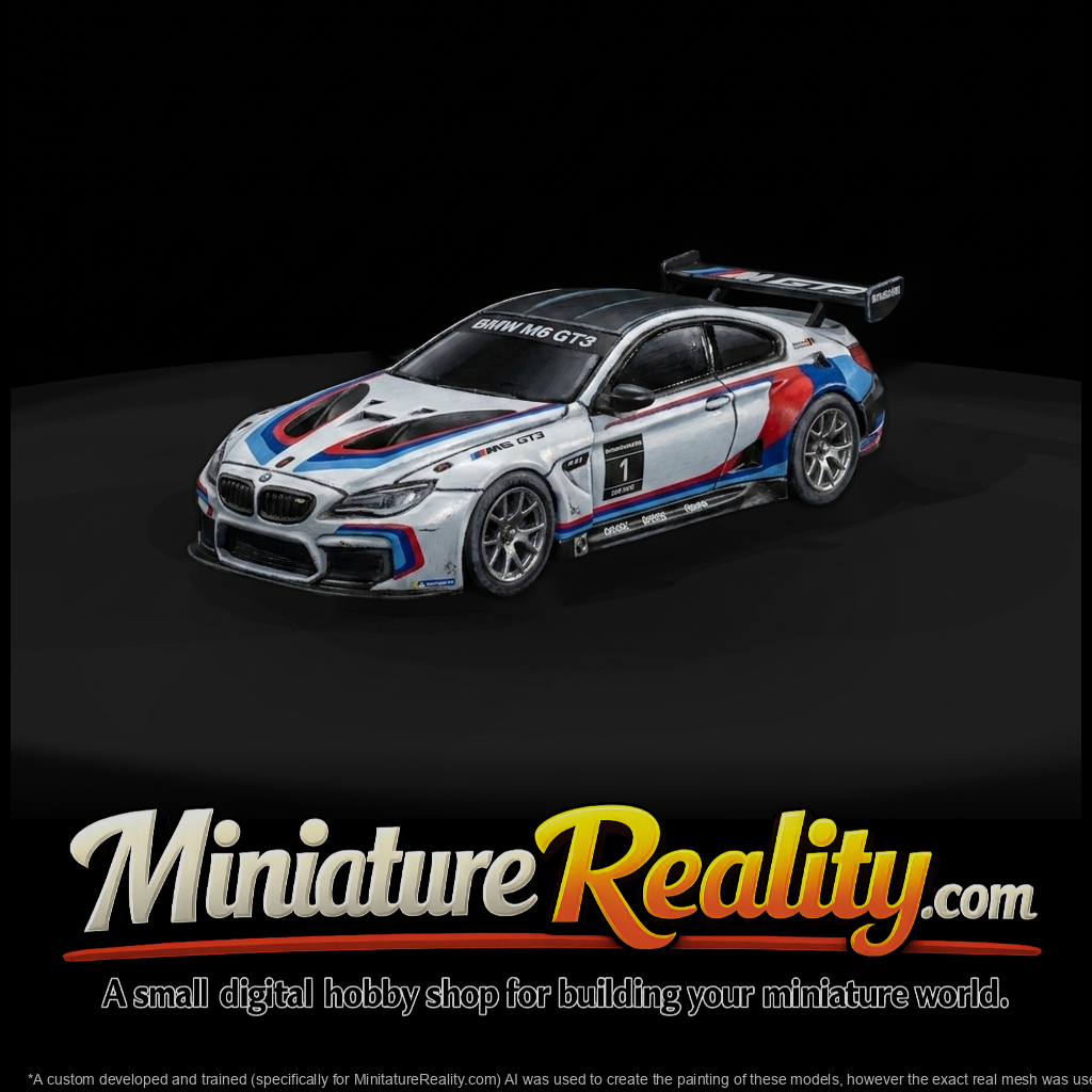 BMW M6 GT3–style Race Car Body and Trackside