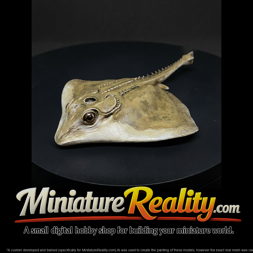 Detailed Stingray & Display