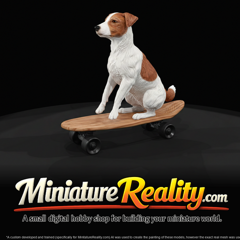 Fun Misc dog on skateboar