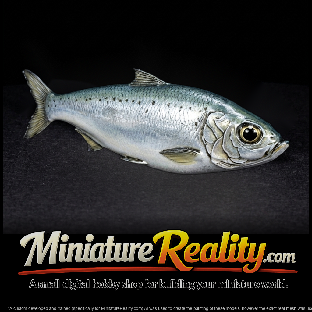 Herring Fish & Displays