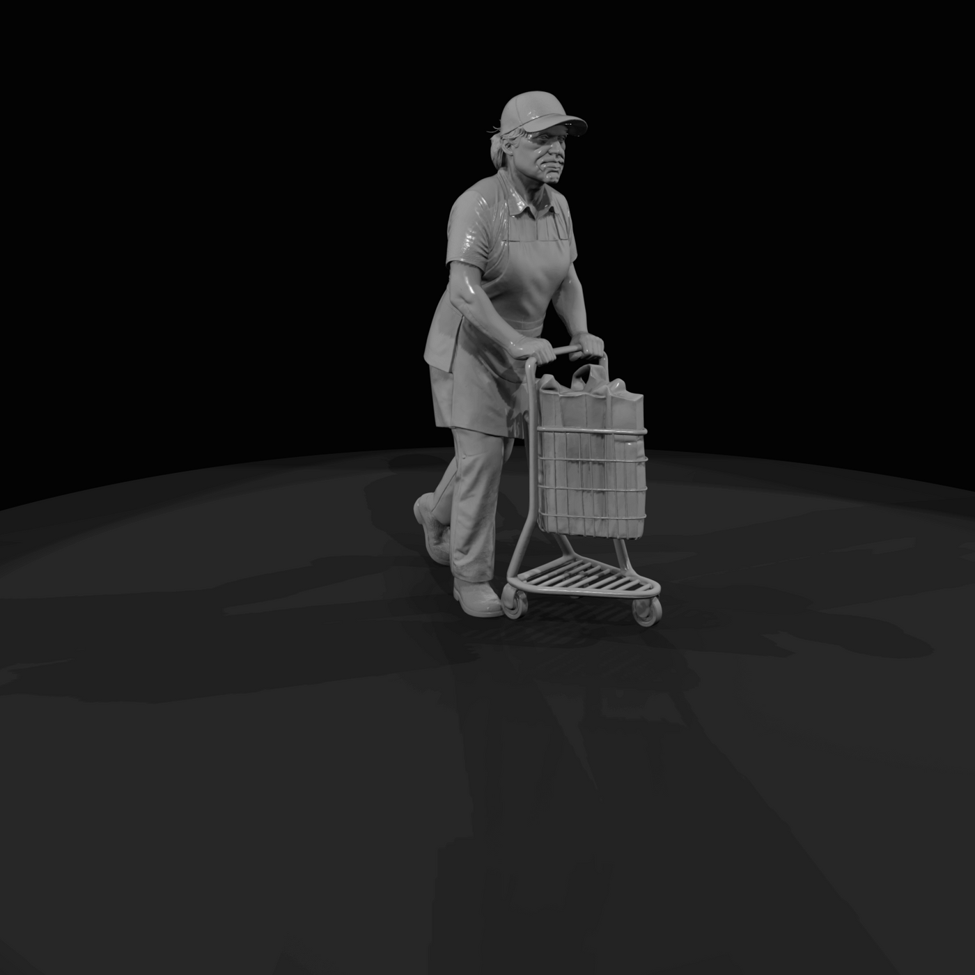 MODERN DELIVERY PEOPLE Grocery service shopper