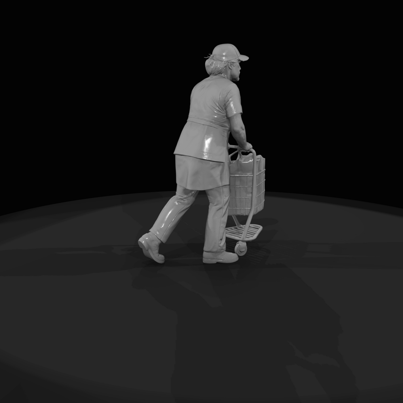 MODERN DELIVERY PEOPLE Grocery service shopper
