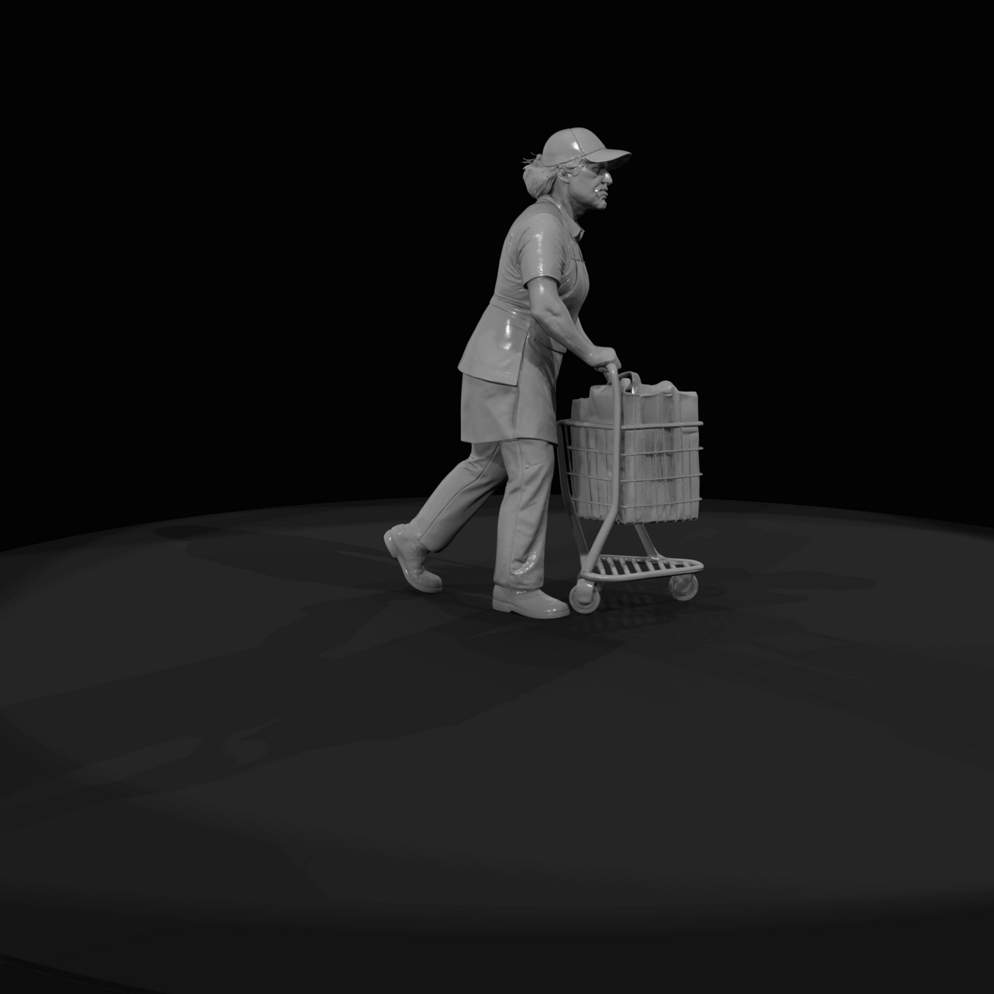 MODERN DELIVERY PEOPLE Grocery service shopper