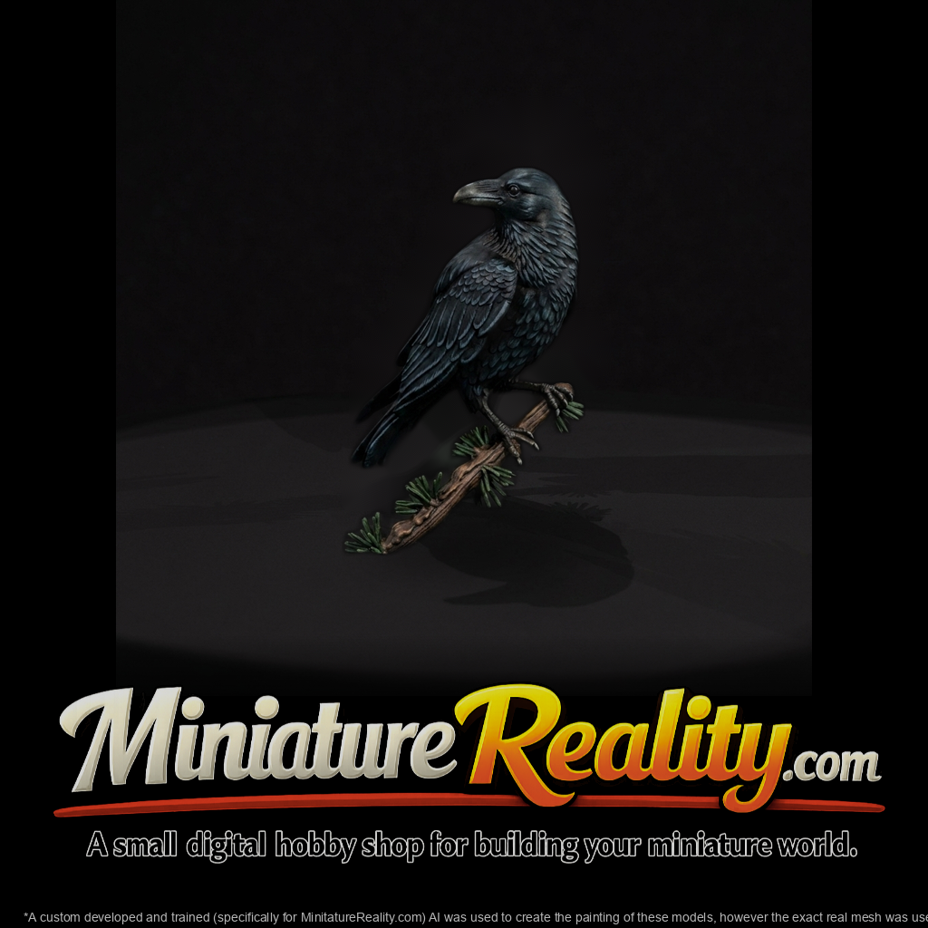 Perched Raven on Pine Branch — Accent