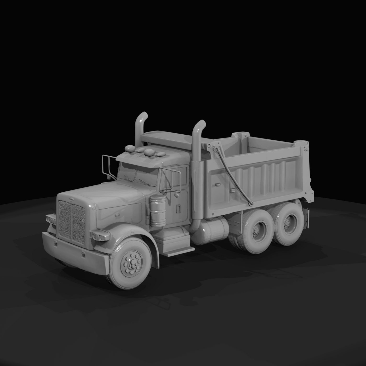 Peterbilt 389 Dumper Truck - 2019