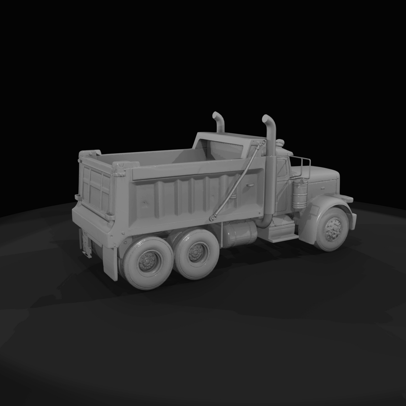 Peterbilt 389 Dumper Truck - 2019
