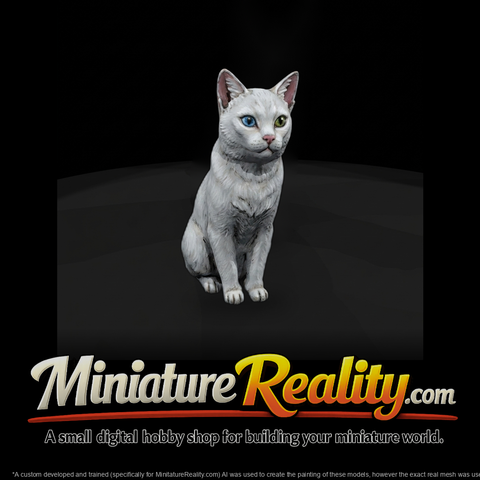 Sitting Cat