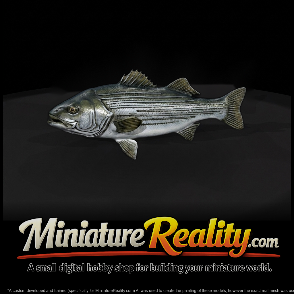 Striped Bass & Layouts