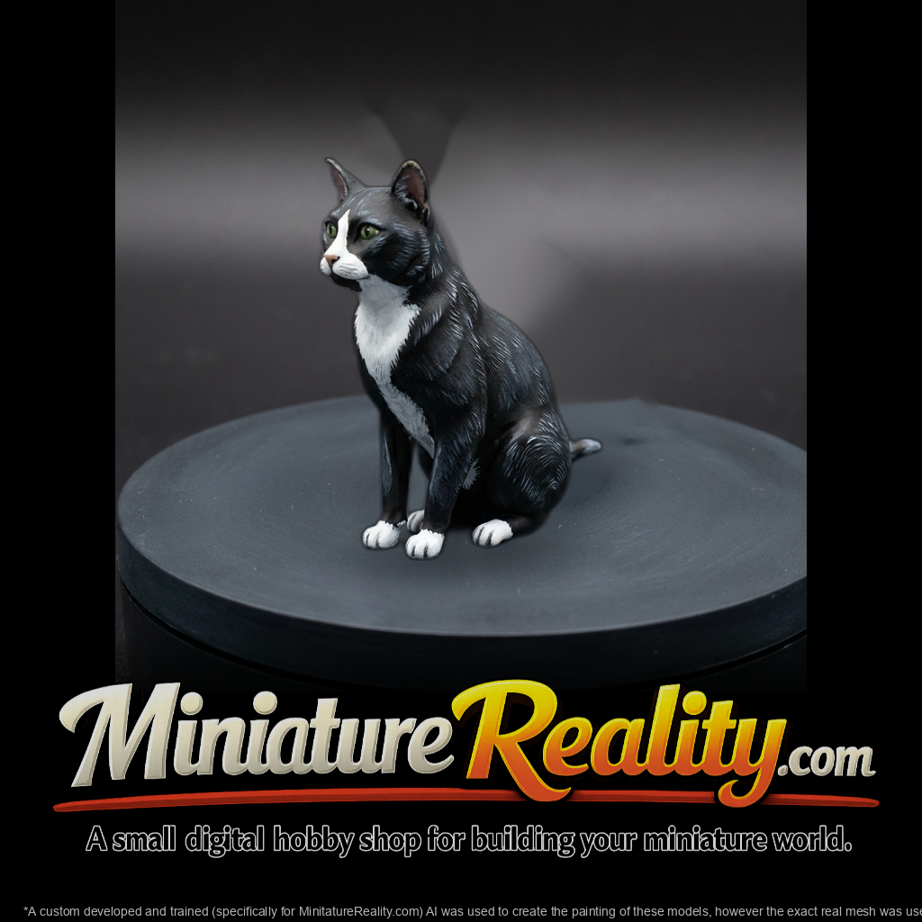 Tuxedo Cat Figure & Railways