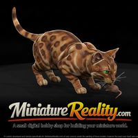 a-collection-of-housecats-bengal-82b24b8e-meshref — thumbnail 1