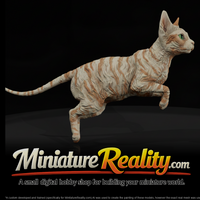 a-collection-of-housecats-cornish-1f45c53c-meshref — thumbnail 1