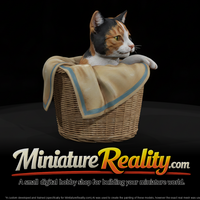 a-collection-of-housecats-curious-262ed8b6-meshref — thumbnail 1