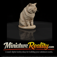 a-collection-of-housecats-exotic-b24ed562-meshref — thumbnail 1