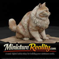 a-collection-of-housecats-fluffy-7cd962ec-meshref — thumbnail 1