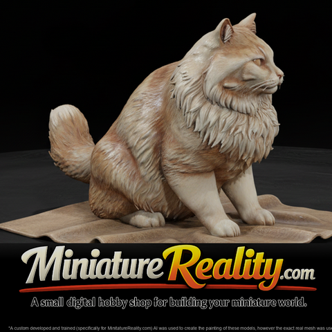 a-collection-of-housecats-fluffy-7cd962ec-meshref