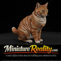 a-collection-of-housecats-manx-ab5ed3df-meshref — thumbnail 1