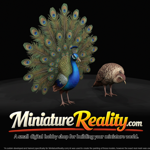 Animals At A Peacock Pair (estimated)