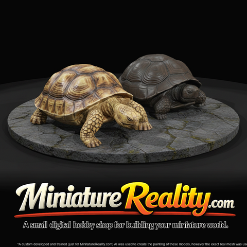 Animals At A Tortoise Pair (estimated)