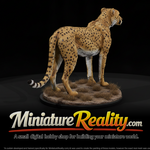 Cheetah Male miniature, three-quarter view