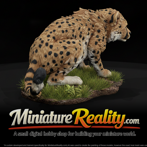 Young Cheetah Crouching miniature, three-quarter view