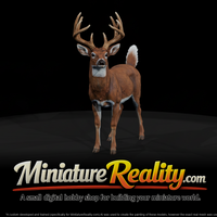 White Tailed Deer Male miniature, three-quarter view — thumbnail 1