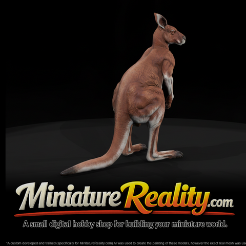 Red Kangaroo Male miniature, three-quarter view