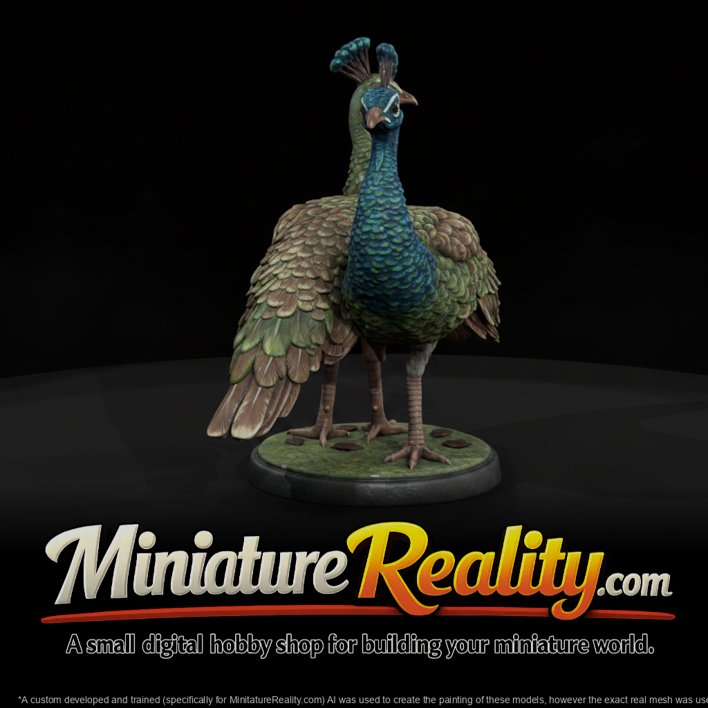 Indian Peafowl Adolescent miniature, three-quarter view